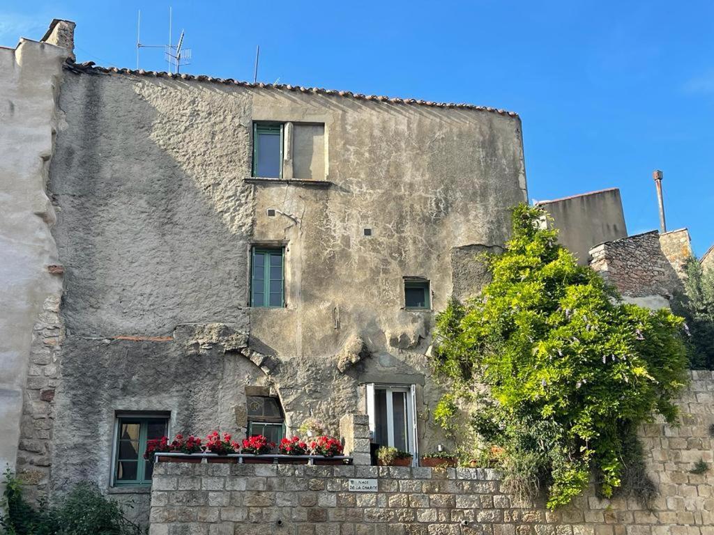 Appartement Au Perchoir à Caunes-Minervois Extérieur photo